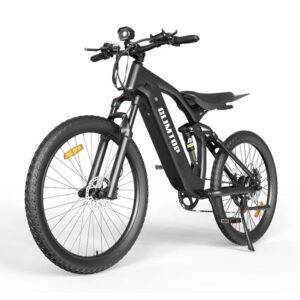 CLIMTOP q31 e-bike