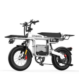 Electric Bike Coswheel T16, 750W (1000W peak) motor, 20Ah battery, NFC