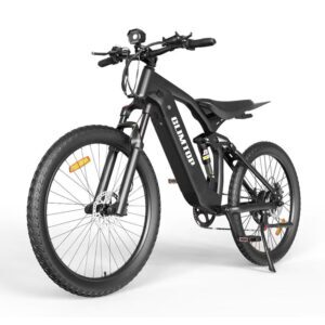 CLIMTOP q31 e-bike