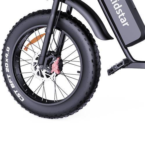 Electric bike RIDSTAR Q20PRO, 52V (2000W Dual Motor), 40AH Battery - Image 5