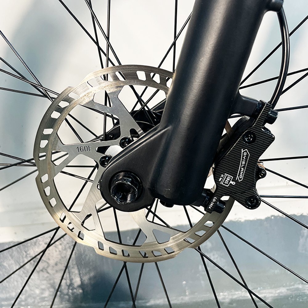 CLIMTOP q31 e-bike