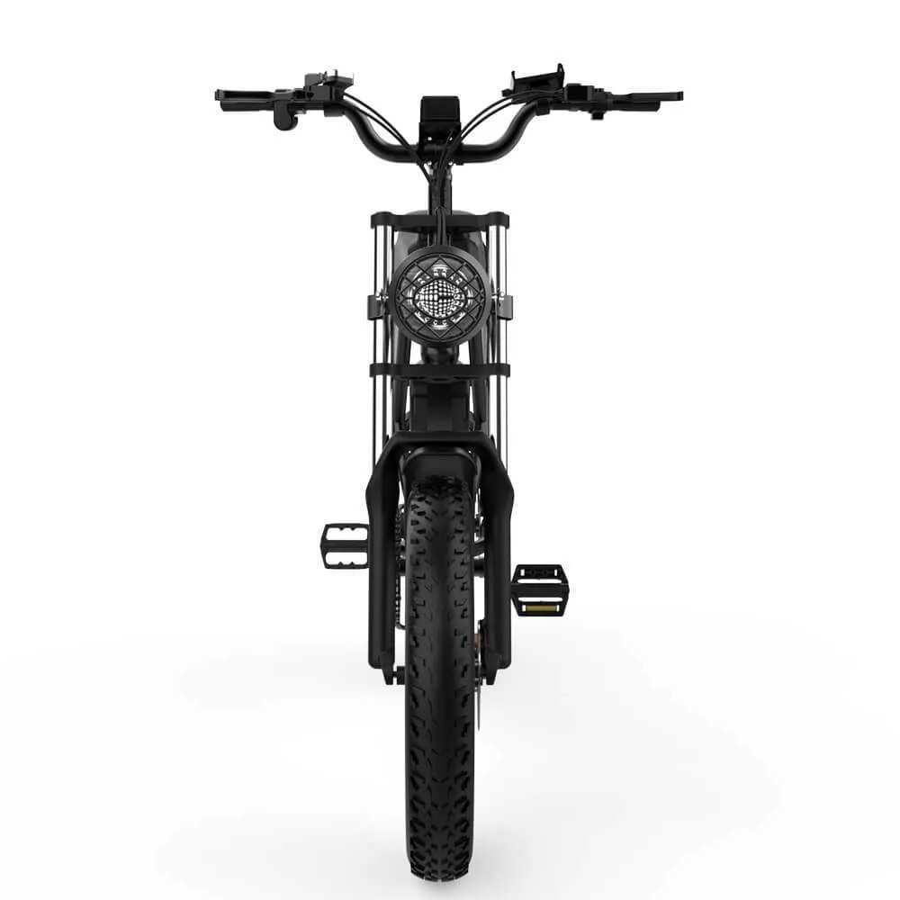 Electric bicycle Ridstar Q20
