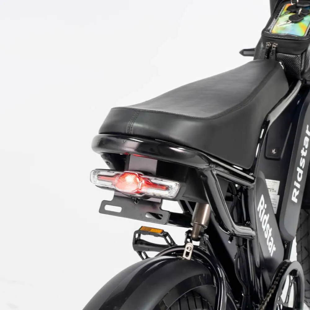 Electric bicycle Ridstar Q20