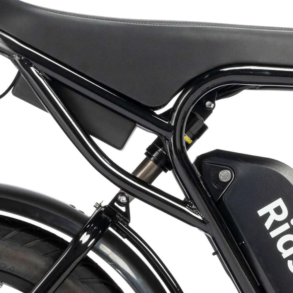 Electric bicycle Ridstar Q20