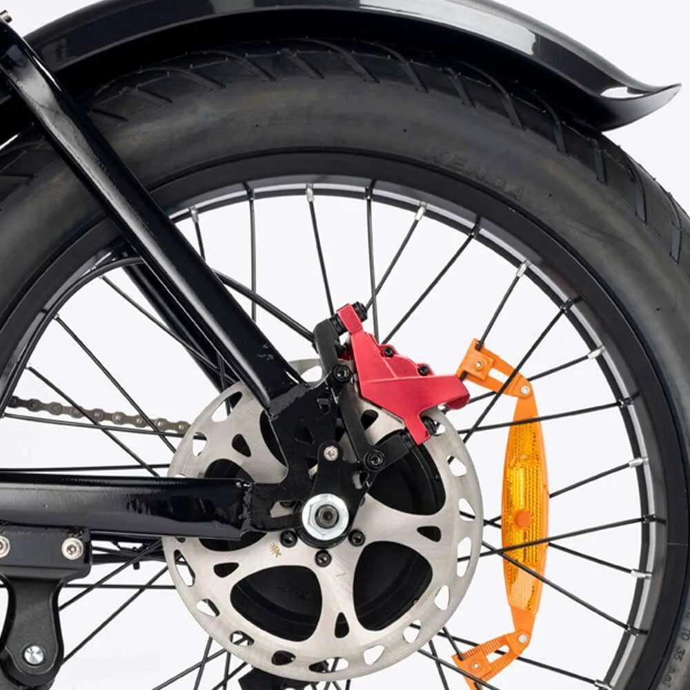 Electric bicycle Ridstar Q20