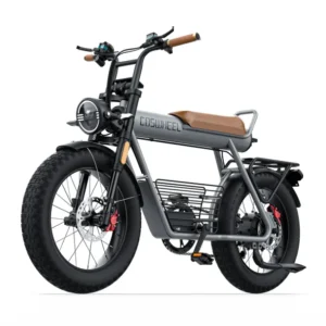 Electric bicycle Coswheel CT20, 48V, 1000W (peak 1500W), 25Ah battery