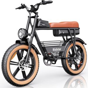 Electric bike Ridstar CR20, 48V, 1000W, 15Ah battery