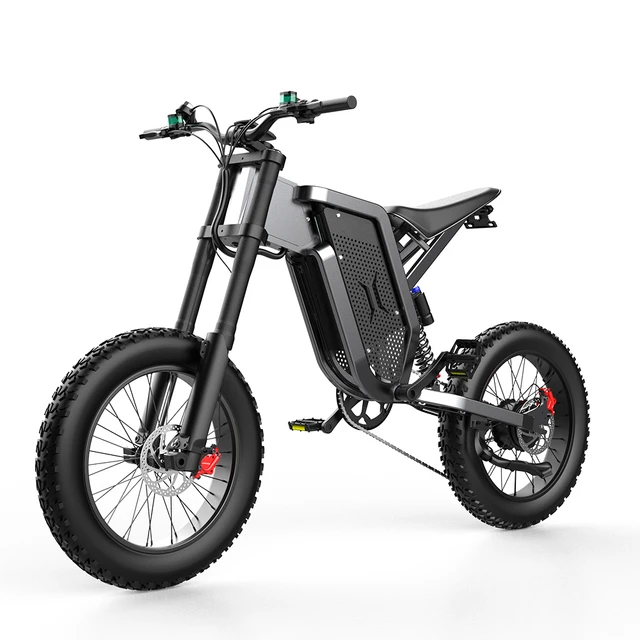 EKS Fahrrad X21