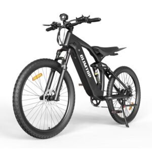 CLIMTOP q31 e-bike