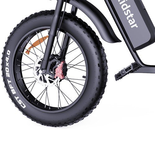 Electric bike RIDSTAR Q20PRO, 52V (2000W Dual Motor), 40AH Battery – Bild 5